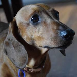 Meet your Posher, Mel